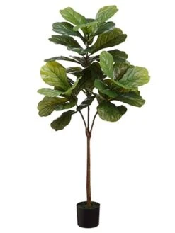 4.5′ Fiddle Leaf Tree In Pot Green