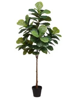 6′ Fiddle Leaf Tree In Pot Green