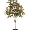 45″ Croton Tree X4 In Pot Green