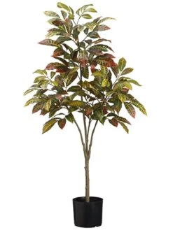 45″ Croton Tree X4 In Pot Green