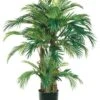 4′ Phoenix Palm Tree In Round Pot Green