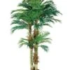 6′ Phoenix Palm Tree In Round Pot Green