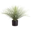 19″ Whipple Yucca In Plastic Nursery Pot Green Flocked