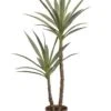 44″ Yucca Tree In Plastic Nursery Pot Green