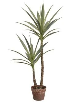 44″ Yucca Tree In Plastic Nursery Pot Green