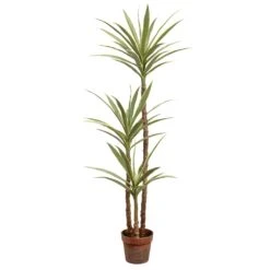 59″ Yucca Tree In Plastic Nursery Pot Variegated