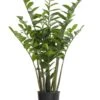 4′ Zamioculcas Zamiifolia Plant In Plastic Pot Green