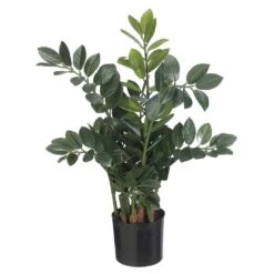 26.75″ Zamioculcas Plant In Pot Green