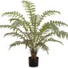 36″ Fern In Plastic Pot Green