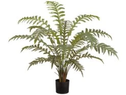 36″ Fern In Plastic Pot Green