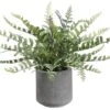 15″ Fern In Cement Pot Green