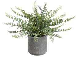 15″ Fern In Cement Pot Green