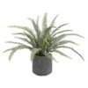 16″ Sword Fern In Cement Pot Green