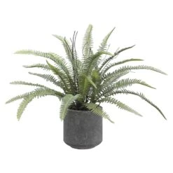 16″ Sword Fern In Cement Pot Green