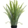 30″ Sword Fern Plant In Plastic Pot Green