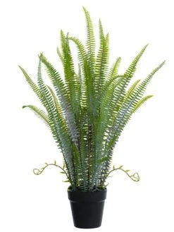 30″ Sword Fern Plant In Plastic Pot Green