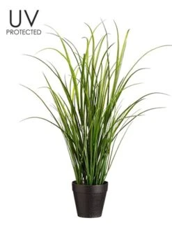 24″ UV Protected Tall Grass in Pot Green