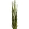 84″ Reed Grass In Pot Dark Green