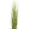 84″ Reed Grass In Pot Light Green