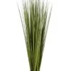 66″ Reed Grass Bundle X6 In Pot Dark Green