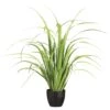 33″ Reed Grass In Pot Light Green