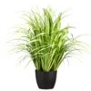 38″ Reed Grass In Pot Light Green