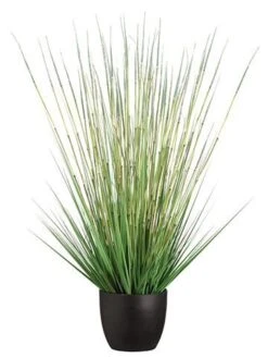 41″ Grass/Horse Tail Bush In Pot Green