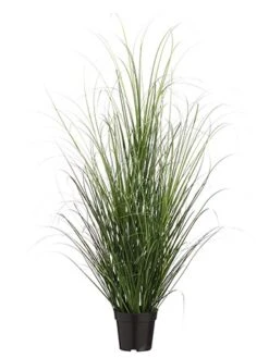48″ Grass Bush In Pot Two Tone Green