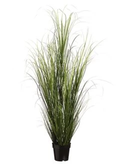 60″ Grass Bush In Pot Two Tone Green