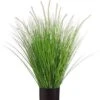 34″ Dog Tail Onion Grass X12 in Pot Green Cream