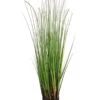 36″ Dog Tail Grass X7 In Pot Green Brown
