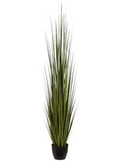 86″ Reed Grass In Pot Green
