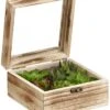 3.1″H X 5.9″W X 5.9″L Succulent Garden In Wood Box Green Gray