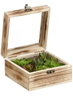3.1″H X 5.9″W X 5.9″L Succulent Garden In Wood Box Green Gray