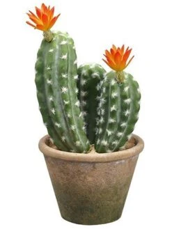 12.5″ Flowering Column Cactus in Paper Mache Pot Green Orange
