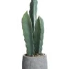 19″ Column Cactus In Cement Pot Green Gray