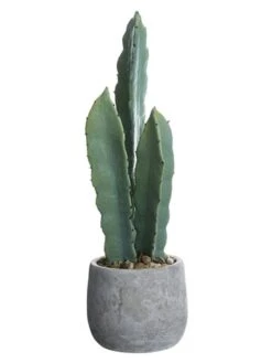19″ Column Cactus In Cement Pot Green Gray