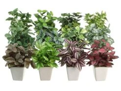 7.5″ Greenery Arrangement In Ceramic Pot Assortment (12 styles) Assorted