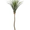 117″ Agave Tree In Plastic Nursery Pot Green