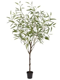 70″ Eucalyptus Tree In Plastic Pot Green