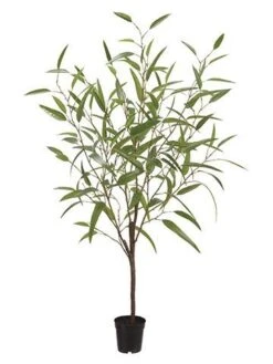 48″ Bamboo Tree In Plastic Pot Green