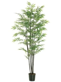 6′ Black Bamboo Tree X7 With 1440 Leaves In Black Plastic Pot Green