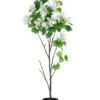66″ Bauhinia Tree In Plastic Pot White