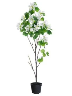 66″ Bauhinia Tree In Plastic Pot White