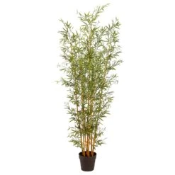 72″ Mini Bamboo Tree X7 In Plastic Nursery Pot Green Natural