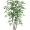 5′ Black Bamboo Tree X7 With 1200 Leaves In Pot Green