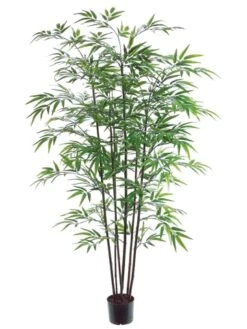 5′ Black Bamboo Tree X7 With 1200 Leaves In Pot Green