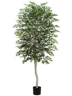 7′ Birch Tree W/2394 Leaves in Pot Green
