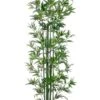 6′ Bamboo Tree In Pot Green