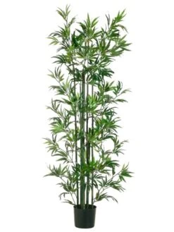 6′ Bamboo Tree In Pot Green